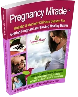 Pregnancy Miracle ebooks